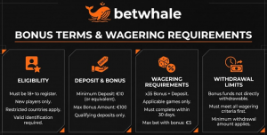 Bonus terms & Wagering requirements