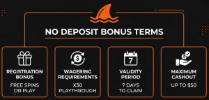BetWhale casino no deposit bonus terms
